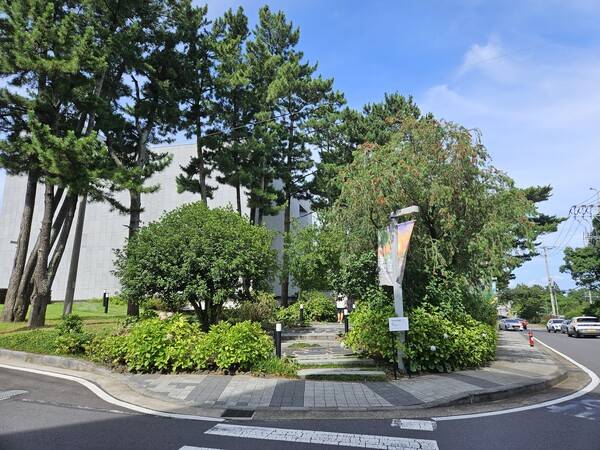 - 제주도는 비가 전혀 내리지 않는 쨍쨍한 날씨였다