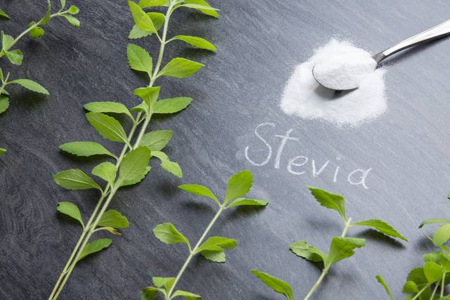 사진은 기사의 특정 내용과 관련 없음. 이미지투데이