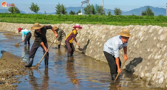 (평양 노동신문=뉴스1) = 북한 노동당 기관지 노동신문은 24일 "폭우와 많은 비에 의한 피해를 최소화해야 한다＂라면서 ＂긴장성을 계속 견지하며 철저한 대책을 강구하라＂라고 독려했다. 사진은 청진시. [국내에서만 사용가능. 재배포 금지. DB 금지. For Use Only in the Republic of Korea. Redistribution Prohibited] rodongphoto@news1.kr