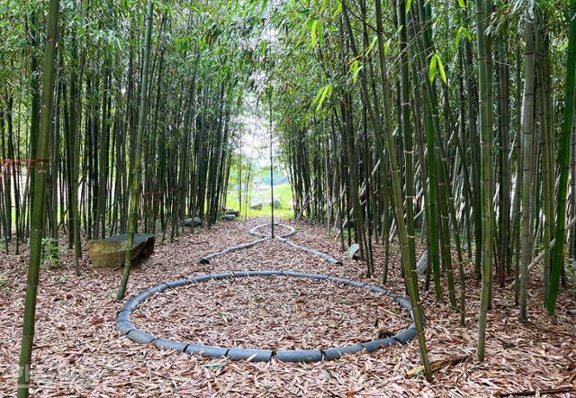 실상사 대숲법당 안에 생명평화를 상징하는 로고가 설치돼 있다.
