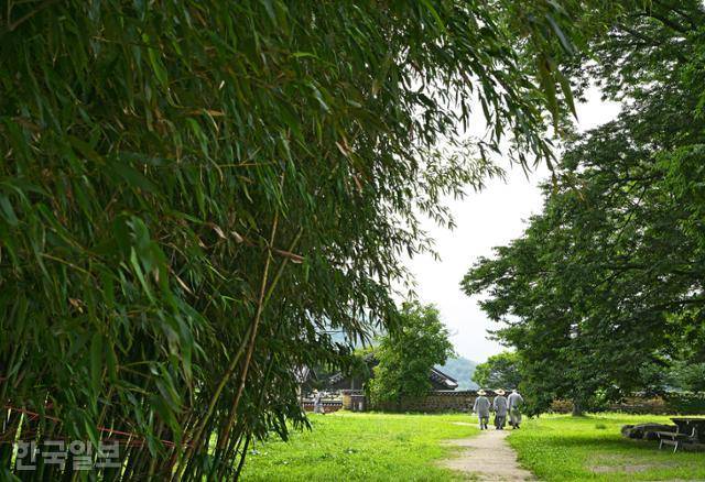 스님들이 실상사 대숲법당을 지나가고 있다.