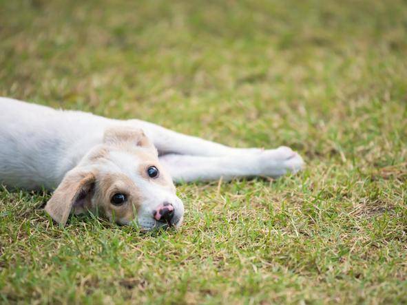 근육과 관절에 통증이 있는 경우에도 다리 떨림 증상이 나타난다. 게티이미지뱅크