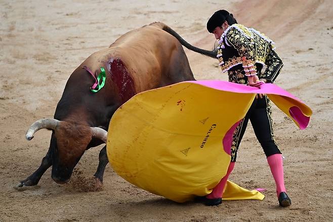 지난 14일(현지시간) 스페인 북부 팜플로나에서 열린 산 페르민 축제에서 베네수엘라 선수가 투우 경기를 하고 있다. AFP연합뉴스