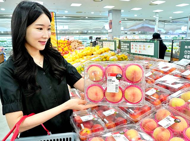 한 고객이 서울 중구의 롯데마트 제타플렉스 서울역점 과일 매장에서 ‘인공지능(AI) 선별 아삭한 복숭아’를 구매하고 있다. 롯데마트