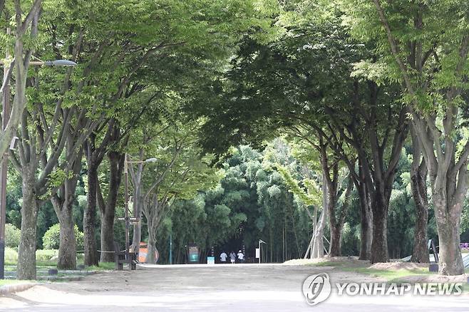 태화강 국가정원 [연합뉴스 자료사진]