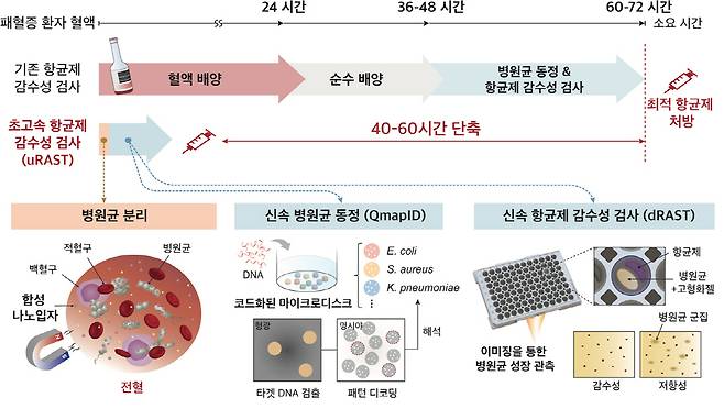 초고속 항균제 감수성 검사(uRAST) 진행 순서