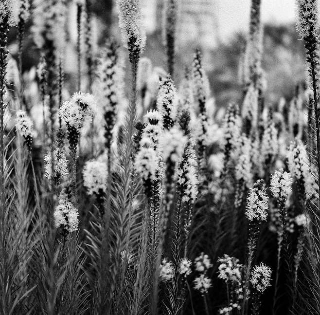 7ded8076b58a76ac7eb8f68b12d21a1dcce35c1c52864a