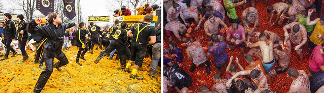 피바다 난투극이나 시위처럼 보이지만 엄연히 축제다. 왼쪽은 이탈리아 이브레아에서 열리는 이브레아 카니발 행사 중 하나인 ‘오렌지 전투’. 오른쪽은 스페인 발렌시아의 세계적인 축제 ‘토마티나’. 러시아 인문학자 미하일 바흐친(1895~1975)의 ‘카니발(사육제) 이론’에 따르면, 카니발을 비롯한 민중적인 축제는 일상적인 생활 질서를 무너뜨리고, 모든 금기와 제재를 일시적으로 제거한다. 또 기존의 권위를 조롱하는 전복된 논리가 주를 이루게 된다. ‘먹는 음식을 던진다’는 터부시되는 행동을 마음껏 발산하는 축제 역시 전복과 해방이라는 카니발의 의미와 일맥상통한다. [사진 출처=레드불 유튜브, 연합뉴스]