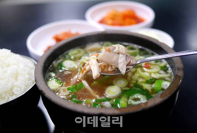 홍대 앞에서 40여년을 지켜온 다락투 닭곰탕