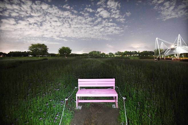 낮과는 또다른 매력을 가지고 있는 여름밤의 시흥 갯골생태공원의 풍경. / 사진제공=시흥시