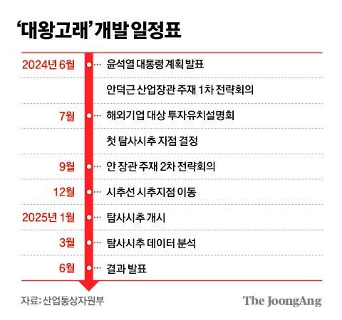 김영희 디자이너