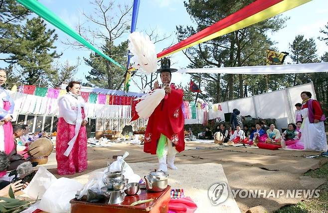 칠머리당영등굿 집전하는 김윤수 큰심방 [연합뉴스 자료사진]