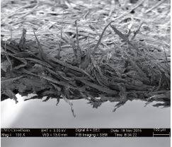 종이를 100배로 확대한 사진. 종이는 육안에 매끈해 보이지만, 현미경으로 보면 목재 섬유 때문에 가장자리가 상당히 거칠다. 이런 종이는 날이 선 칼보다 톱과 비슷해 피부 세포를 더 많이 손상한다. 사진 tmblr