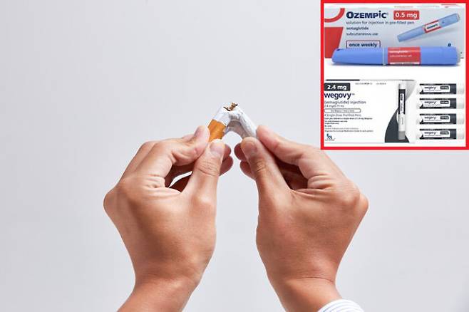 [사진=게티이미지뱅크/노보노디스크]