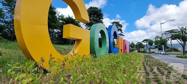 고창군이 지역 화훼업계 상생사업의 일환으로 주요 길목에 여름꽃 5만5000송이를 식재했다. 월곡로타리 부근 화단(고창군 제공)2024.7.31/뉴스1