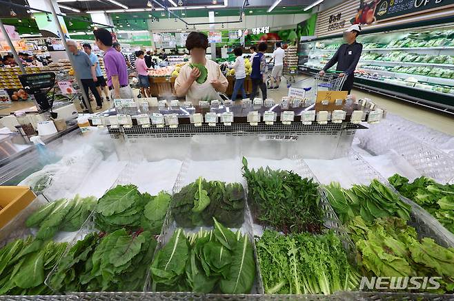 [서울=뉴시스] 김근수 기자 = 28일 서울 시내의 한 마트에서 소비자가 상추를 고르고 있다. 농림축산식품부는 장마철 집중호우에 따른 피해로 채소 가격은 강세를 보이고 있으며, 상추는 주산지인 충남 논산시, 전북 익산시에서 침수 피해가 발생해 공급이 줄었다고 밝혔다. 2024.07.28. ks@newsis.com