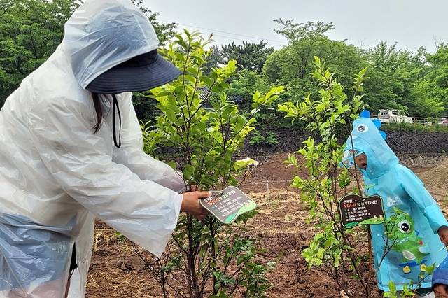 지난달 8일 제주 모충사 앞 공원에서 헌수를 기증한 도민이 직접 나무를 심고 있다. 나무에는 기증자의 이름과 수종 등이 적힌 팻말이 부착된다. 문정임 기자