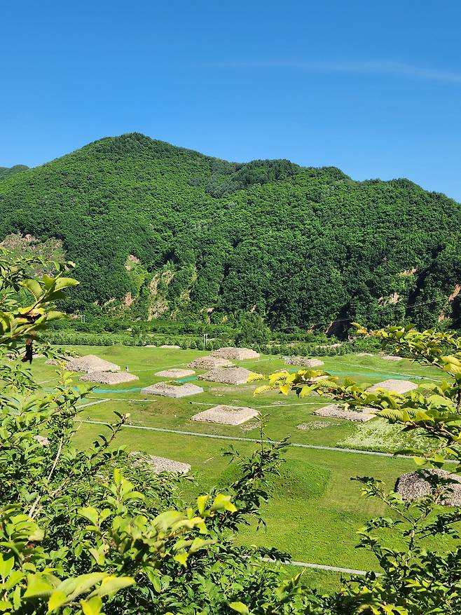 “감동의 고구려 피라미드 고분군, 왜 이제야 나타났니?” 멀리서 보기에 작아보이지, 하나하나 신라 고분만한 크기이다. 경주 구정동에는 이 피라미드의 미니어처 마을 촌장의 묘로 추정되는 구정동 방형분이 있다. 이집트, 멕시코 피라미드가 오버랩되며 가슴을 웅장하게 만든다. [함영훈 기자]