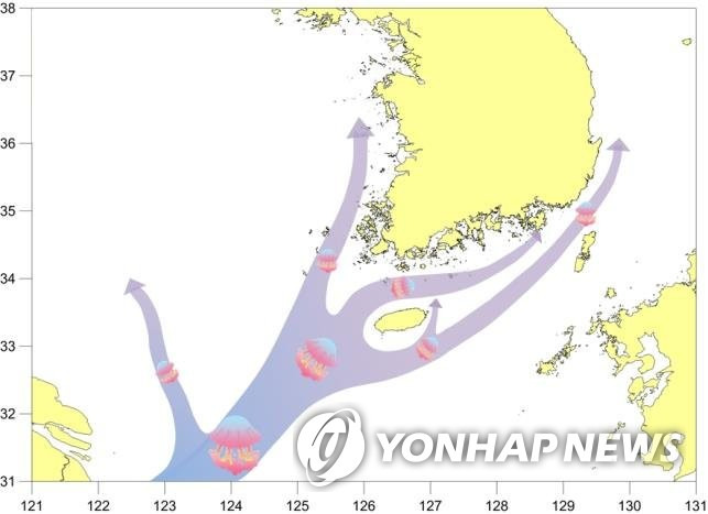 노무라입깃해파리 이동경로 [해양수산부 제공=연합뉴스]
