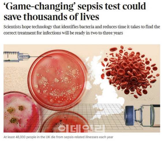 더 타임즈가 보도한 퀀타매트릭스 패혈증 진단 기술.(출처= 더 타임즈)