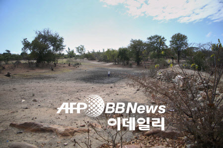 가뭄이 심각한 짐바브웨 사진(사진=AFP)