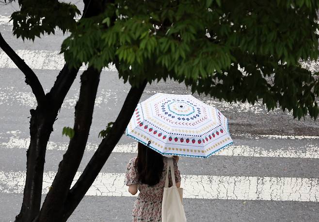 전국 대부분 지역에 폭염경보가 발효된 5일 광주 서구 치평동에서 한 시민이 내리는 소나기에 우산을 쓰고 걷고 있다. 2024.8.5 /연합뉴스