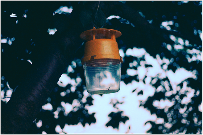 3dafd525ecc139e63bf1c6bb11f11a39caddbb614862bdf29c9b