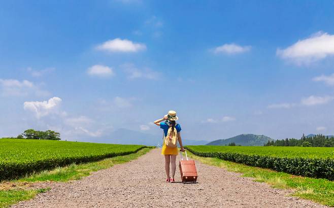 직장인 중 51.5%가 여름휴가를 포기하거나 보류했다고 밝혔다. /사진=이미지투데이