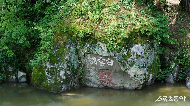 영주 소수서원 앞을 천변 바위에 세겨진 백운동. 소수서원의 원래 이름 백운동서원은 이 지명에서 유래했다 봉화·영주|김재범 기자 oldfield@donga.com