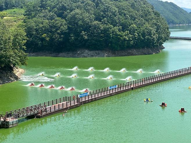 6일 안동댐에 녹조가 나타났다. 대구환경운동연합 제공