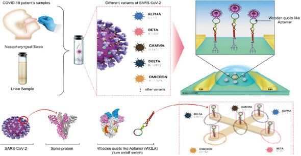 [바이오센서 시스템 모식도. 자체제작 압타머 ‘WQCSA(Wooden Quoit conformation structural Aptamer)’를 반도체 칩에 접목시킨 후, 전기화학적 반응을 통해 환자의 타액, 콧물, 땀, 뇨로부터 수초 내에 다양한 SARS-CoV-2 항원을 검출하는 멀티 바이오센서 시스템을 개발했다.]