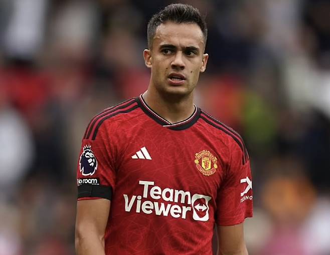 데일리메일 기사캡쳐