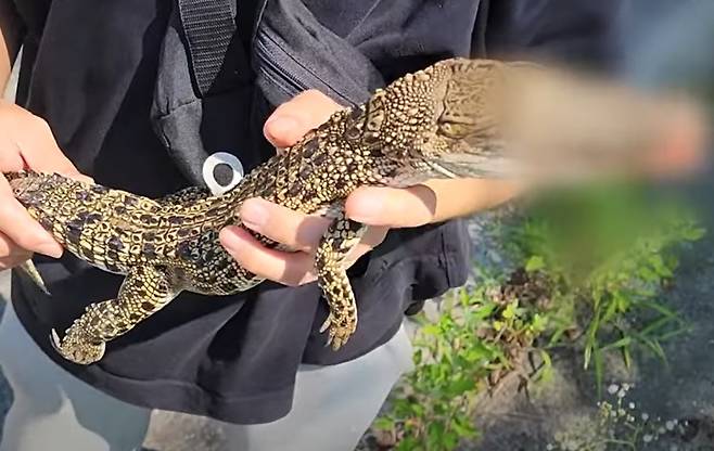 [유튜브 채널 '다흑' 캡처]