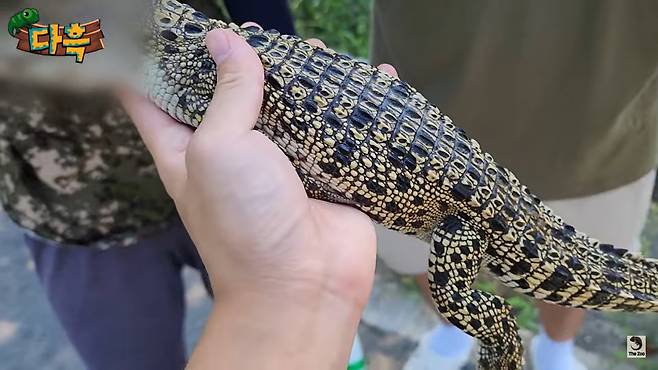 [유튜브 채널 '다흑' 캡처]