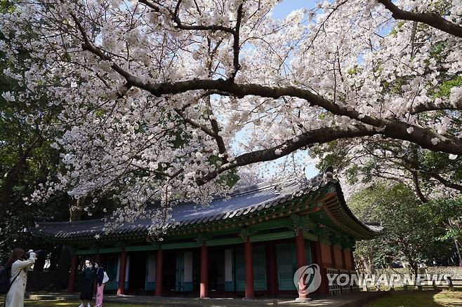 삼성혈 [연합뉴스 자료 사진]