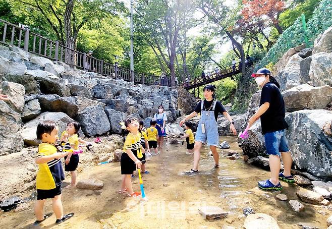 남양주 청학계곡에서 어린이들이 물놀이를 하고 있다.(사진=정재훈기자)