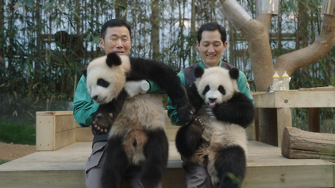 강철원, 송영관 주키퍼(좌 루이바오-우 후이바오). 사진 | (주)에이컴즈, (주)바른손이앤에이