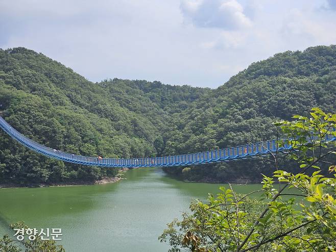 충북 진천군이 문백면 농다리 인근에 55억원의 사업비를 들여 지난 4월 개장한 ‘미르 309’의 전경. 길이 309m로 주탑이 없는 출렁다리 가운데 국내에서 가장 길다.