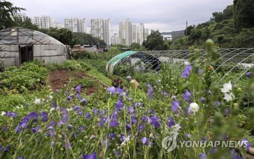 그린벨트 너머 아파트 단지 [연합뉴스 자료사진]