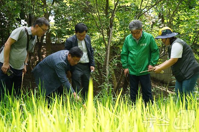 임상섭 산림청장(오른쪽 두번째)이 원흥이생태공원을 찾아 관계자의 설명을 들으며 둘러보고 있다.(산림청 제공)/뉴스1