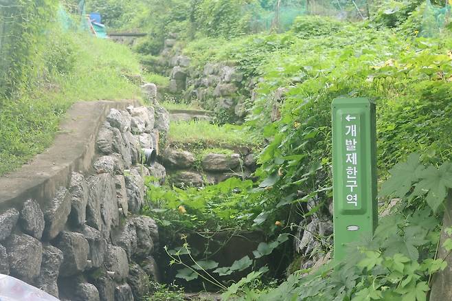 서울 서초구 내곡동 일대 개발제한구역 모습. 2024.8.8/뉴스1