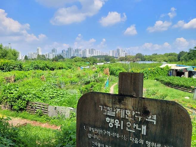 지난 9일 서울 송파구 방이동 그린벨트 지역 뒤로 올림픽아파트와 올림픽파크포레온이 보인다. 사진=최용준 기자