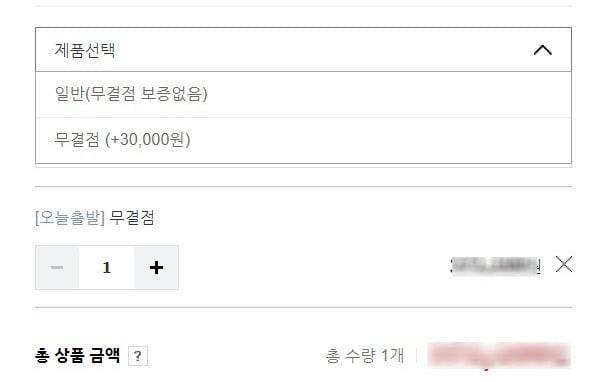 모니터 구매시 '무결점' 옵션 선책 화면  /사진=네이버 쇼핑 캡처
