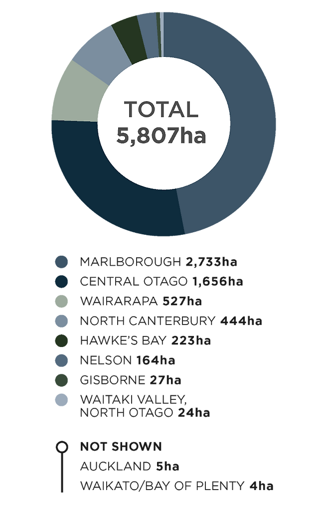 뉴질랜드 피노누아 산지.