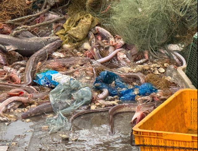 지난달 3일부터 10일까지 제주 남부 어장에서 조업한 '607 영진호'의 갑판에 그물에서 쏟아진 고기들과 쓰레기가 뒤섞여 있다. 제주=유대근 기자