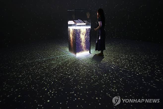 빛나는 훈민정음 해례본 (서울=연합뉴스) 강민지 기자 = 13일 오후 서울 중구 DDP에서 간송미술관 미디어 전시 '구름이 걷히니 달이 비치고 바람 부니 별이 빛난다' 간담회 참석자가 전시를 둘러보고 있다. 2024.8.13 mjkang@yna.co.kr