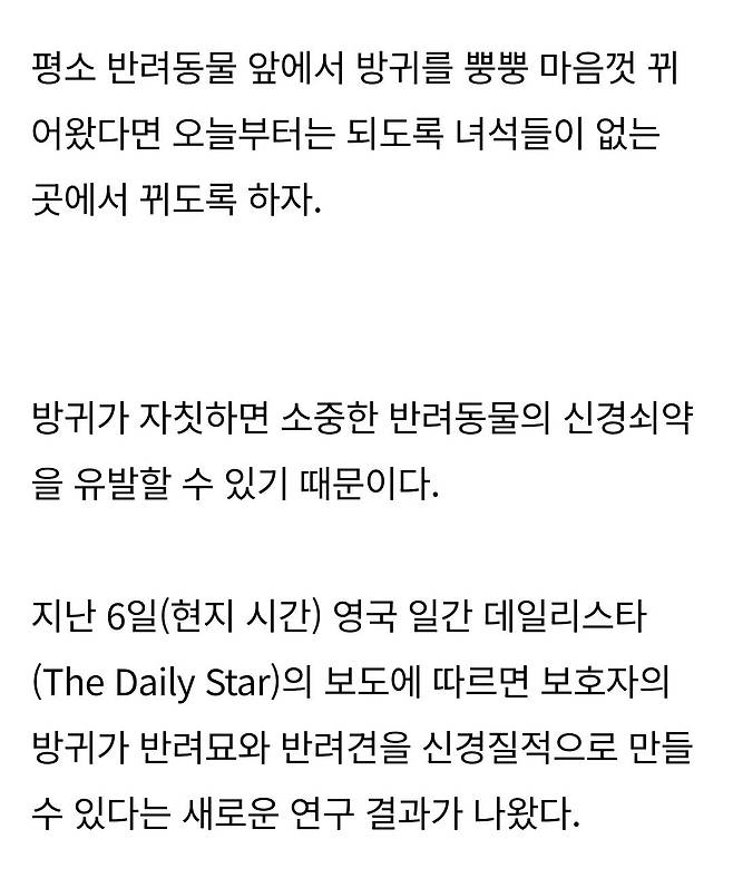 반려견·반려묘 앞에서 \'방귀\' 뀌지 마세요... "보호자 방귀가 신경쇠약 유발한다