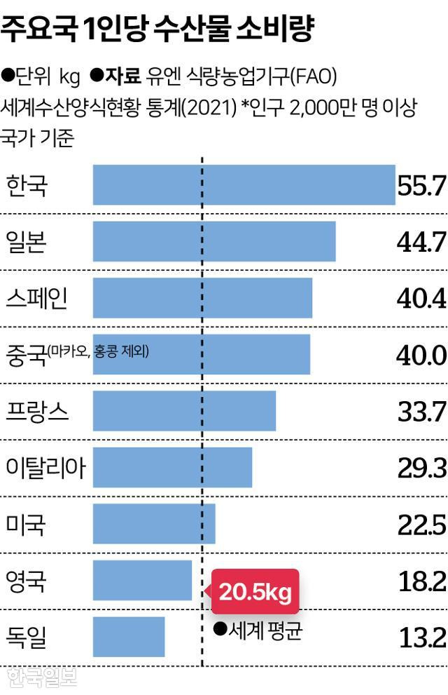 주요국 1인당 수산물 소비량. 그래픽=송정근 기자