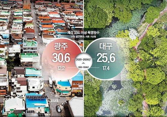 광주 및 대구의 체감 33도 이상 폭염일수 비교. 기상청 제공