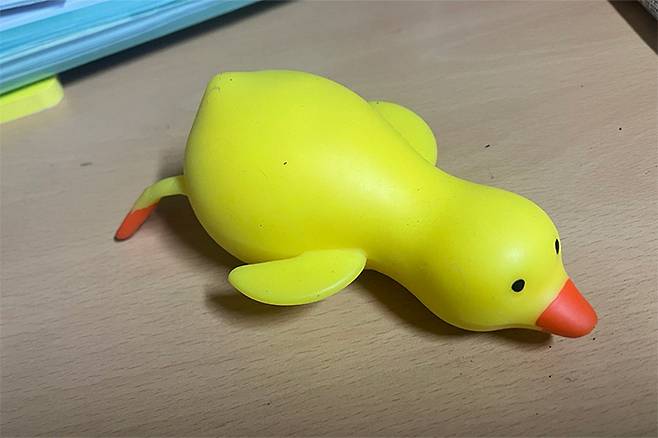 스웨덴의 모든 유스클리닉과 대부분의 클리닉에 놓여있던 ‘꼼지락 도구(Fidgeting tool·긴장을 풀면서 대화를 할 수 있도록 만지작거릴 수 있게끔 준비해 둔 도구들)’을 보고 이후 나도 진료실에 말랑이를 비치해놨다. 윤정원 제공